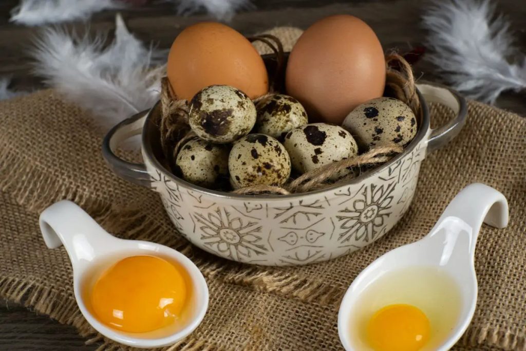 How do the nutritional benefits of quail eggs compare to those of chicken eggs?